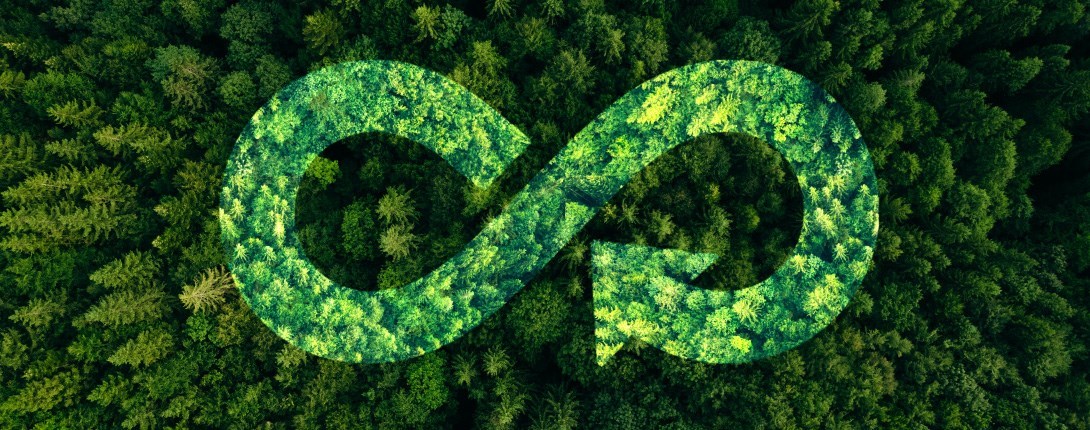 biocomposite-banner biocomposite-banner